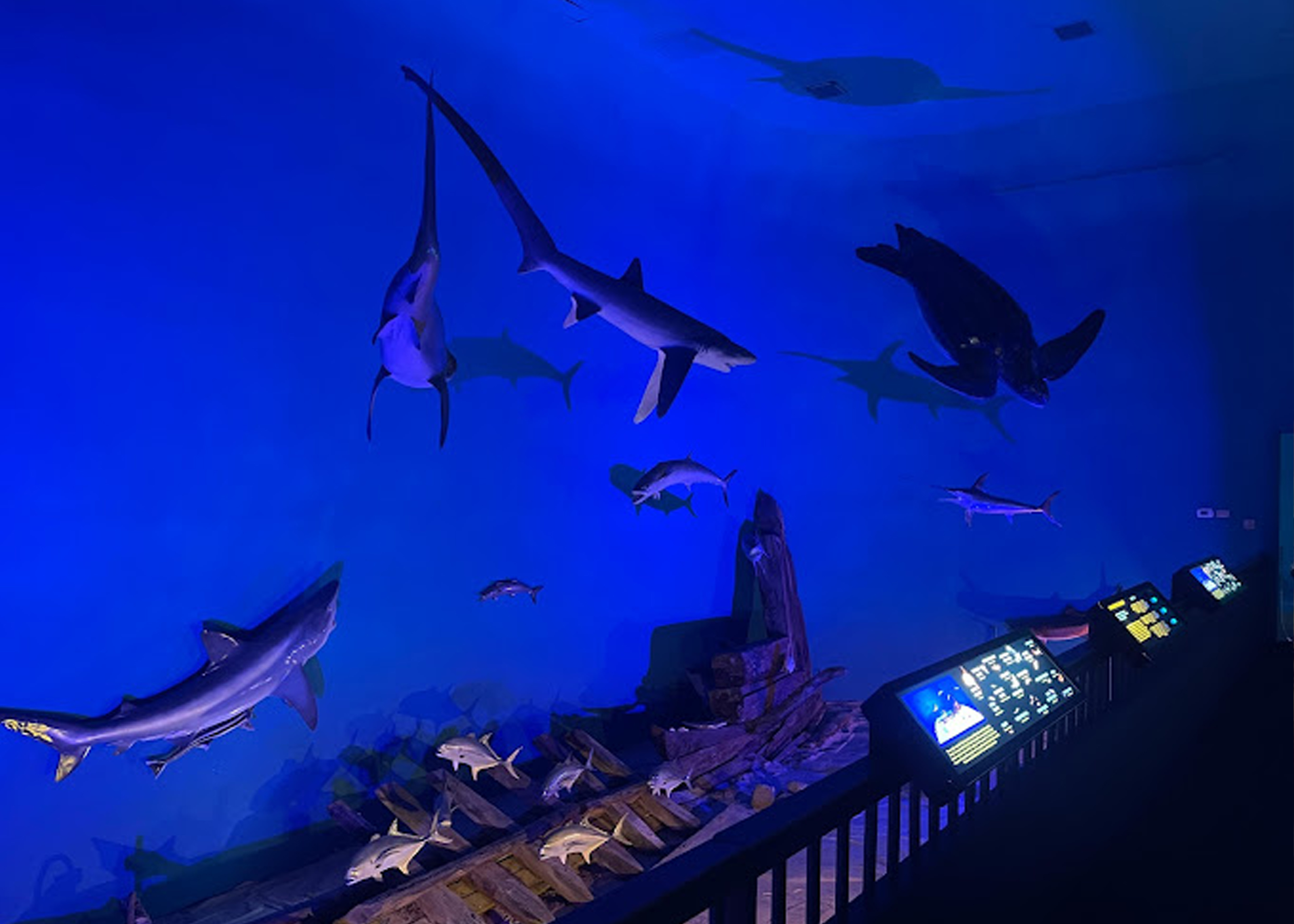 Museum of Coastal Carolina