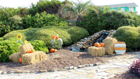 fall pumpkins on HB