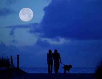 Holden Beach Fall