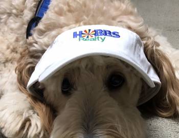 hobbs realty dog