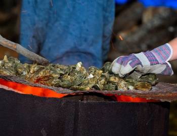 holden beach oyster roast