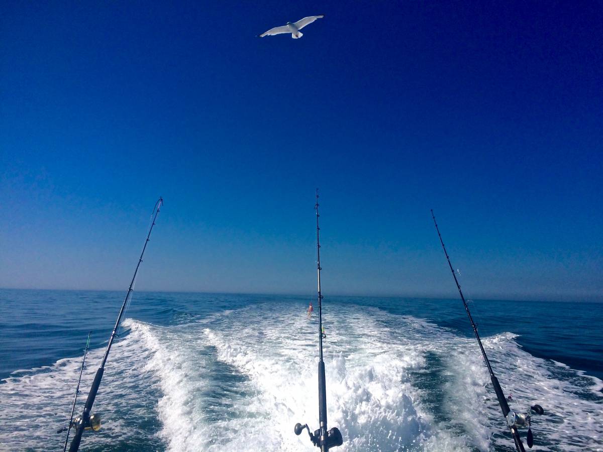 Fishing Charters in Holden Beach