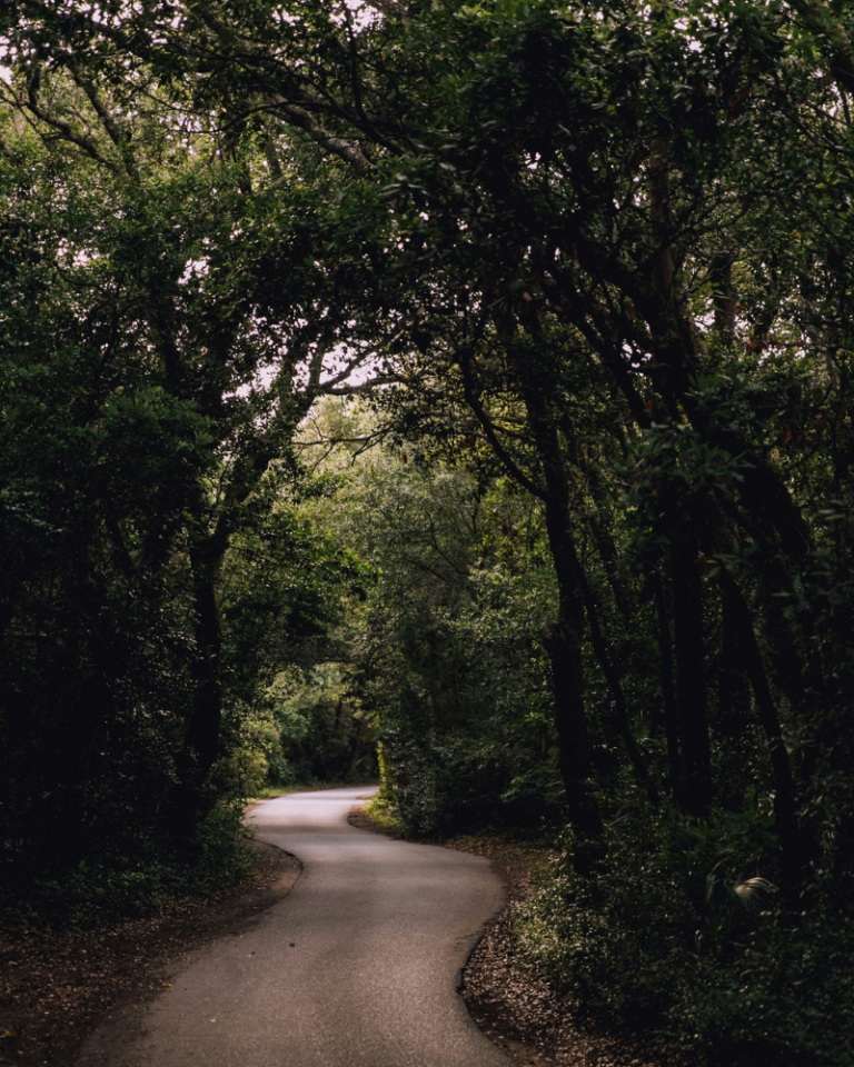 Bald Head Island NC Bald Head Island NC