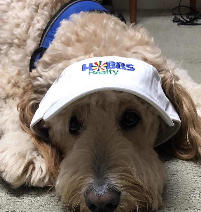 hobbs realty dog